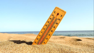 Awas Heatstroke! Begini Cara Tetap Aman dan Sehat saat Cuaca Terik Melanda