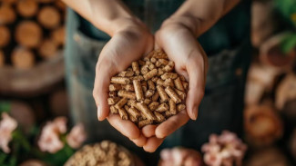 5 Negara Ini Sukses Olah Biomassa Jadi 'Emas Hijau', Ada Indonesia?