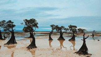 Tanah–Tangan–Tutur, Kacamata Baru untuk Menikmati Wisata Sumba Timur