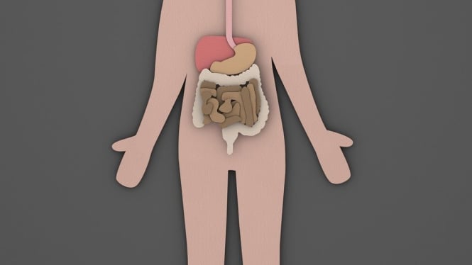 Ilustrasi metabolisme