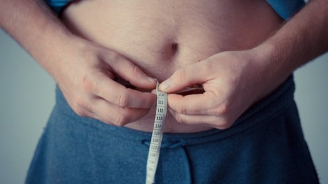 ilustrasi diet
