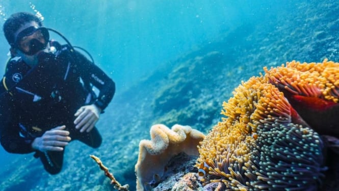 Diving