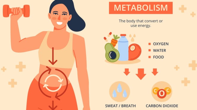 Ilustrasi Metabolik pengaruhi Diet
