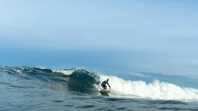 Ilustrasi surfing