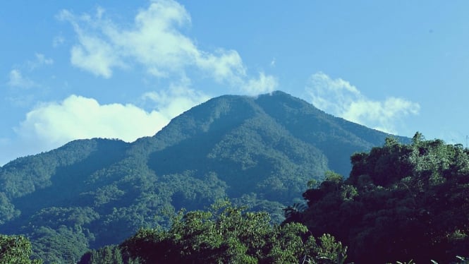Gunung