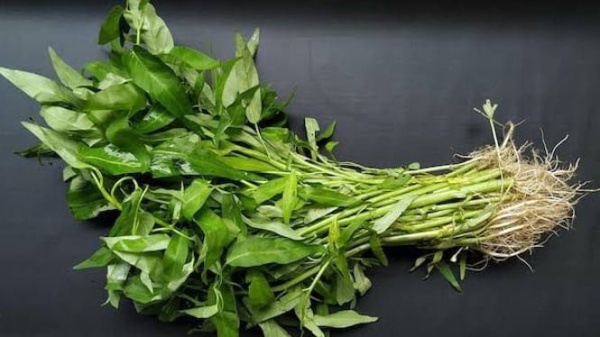 Ilustrasi menanam kangkung
