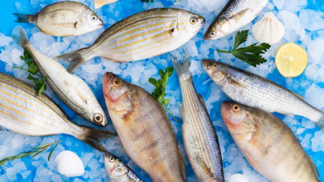 Ilustrasi ikan segar