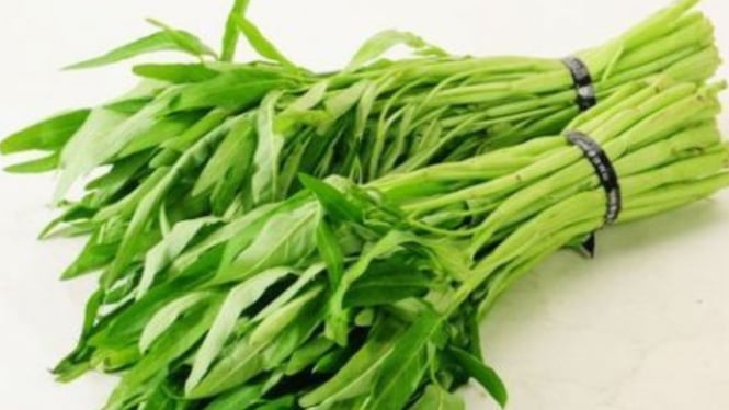 Ilustrasi kangkung