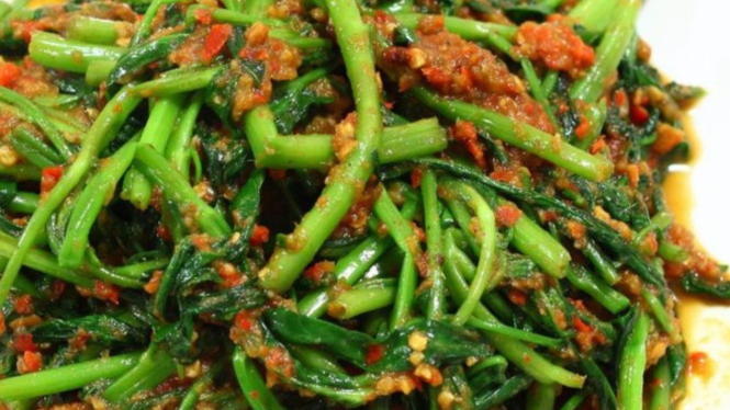 Ilustrasi kangkung