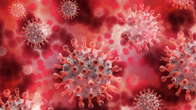 Ilustrasi virus COVID-19