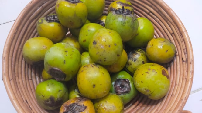 Buah Kesemek