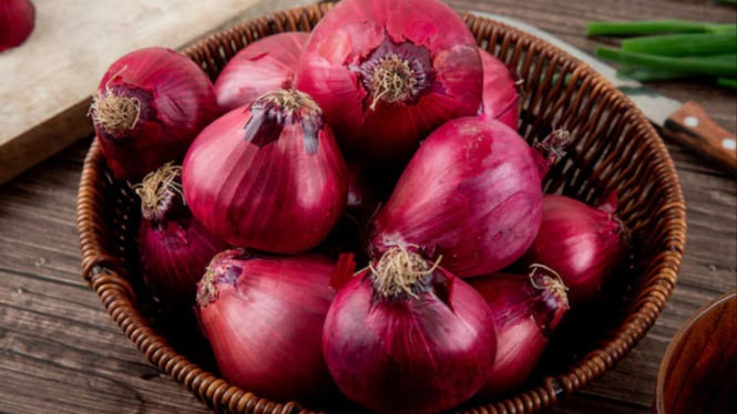 Ilustrasi bawang merah