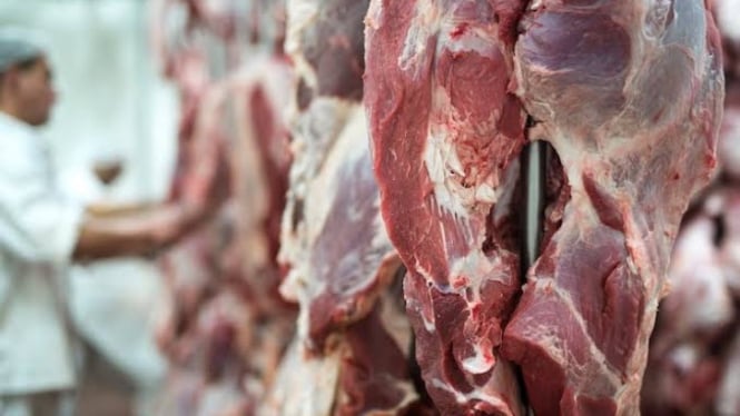 Ilustrasi menyimpan daging kurban