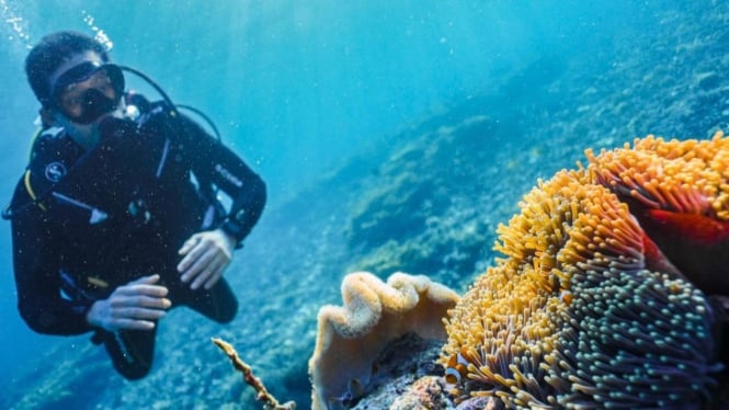 Diving