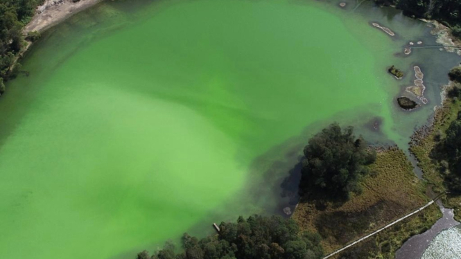 Telaga Warna Dieng