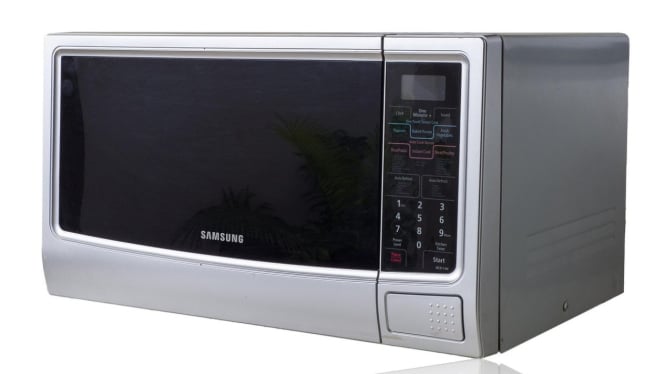 Ilustrasi microwave