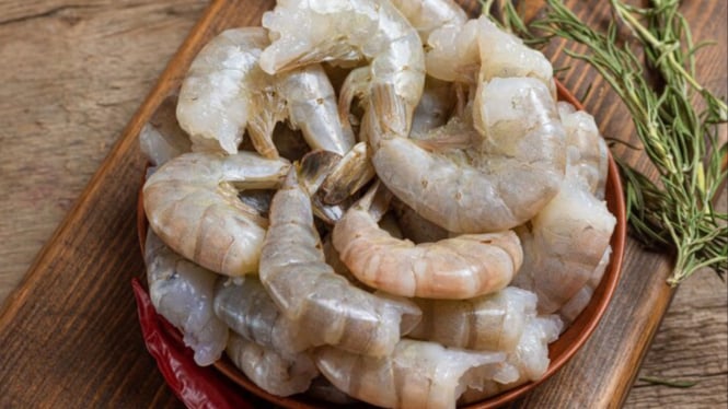 Ilustrasi udang