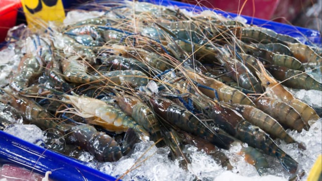 Ilustrasi udang di pasar