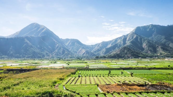 Pemandangan Gunung Rinjani Lombok