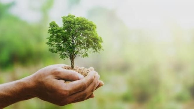 Ilustrasi bisnis sustainable