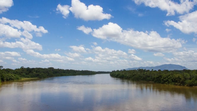 Ilustrasi sungai
