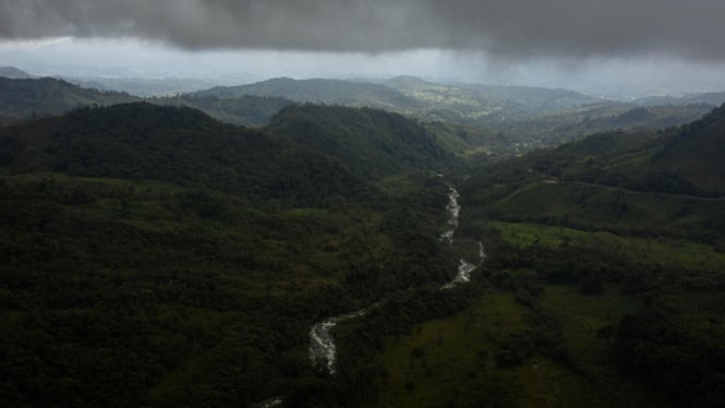 Hutan Amazon Brasil