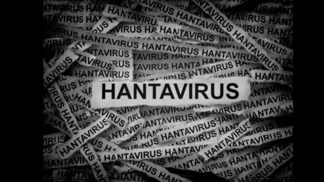 Hantavirus