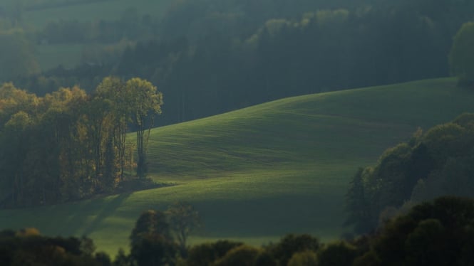 Ilustrasi bukit