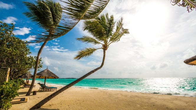maldives