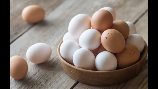 Telur putih vs Telur coklat