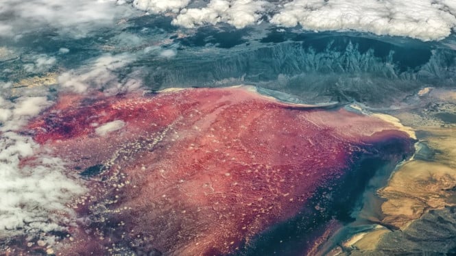 Danau Natron