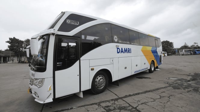 Bis DAMRI