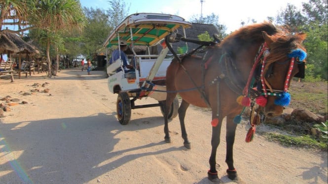 Cidomo di Gili Trawangan