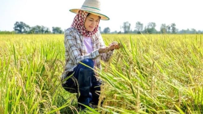 Ilustrasi anak muda jadi petani