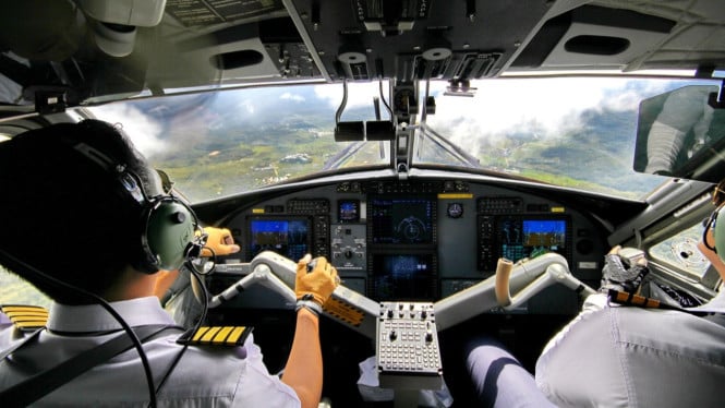 Ilustrasi pilot