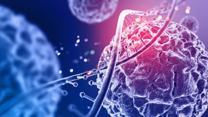 Ilustrasi stem cell.