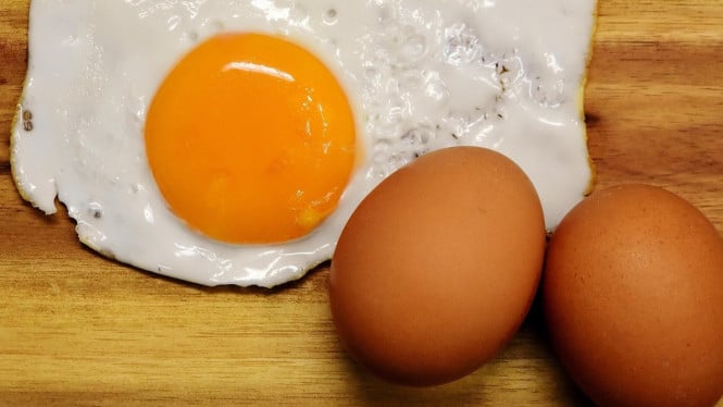 Ilustrasi telur
