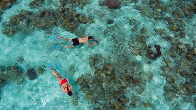 Snorkeling di Maldives.