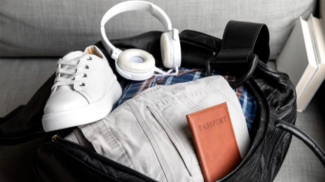 Ilustrasi travel bag