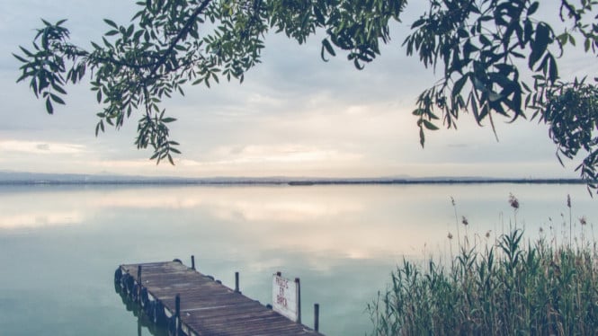 Ilustrasi danau