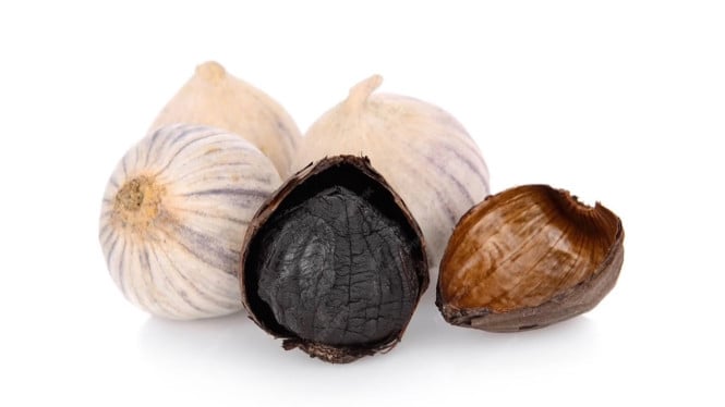Ilustrasi bawang hitam.