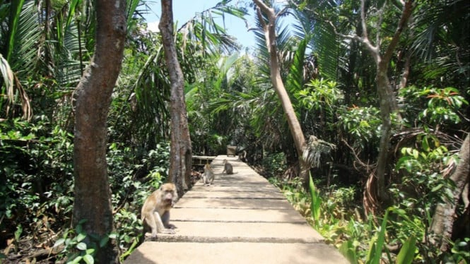 Pulau Kembang Banjarmasin