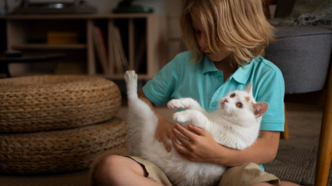 Ilustrasi anak dan kucing