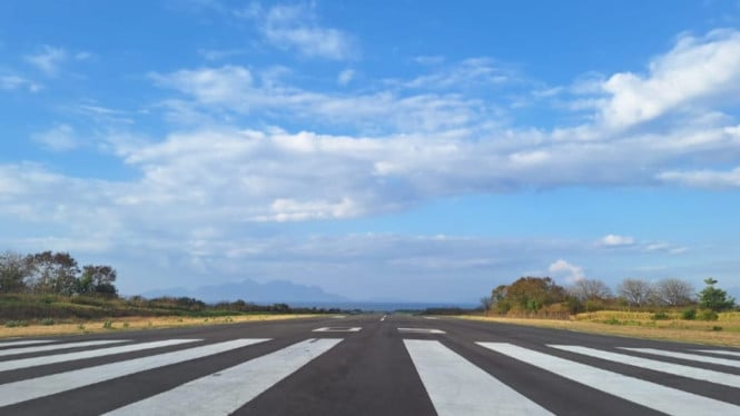 Bandara Fransiskus Xaverius Seda