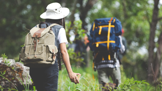 Ilustrasi hiking.