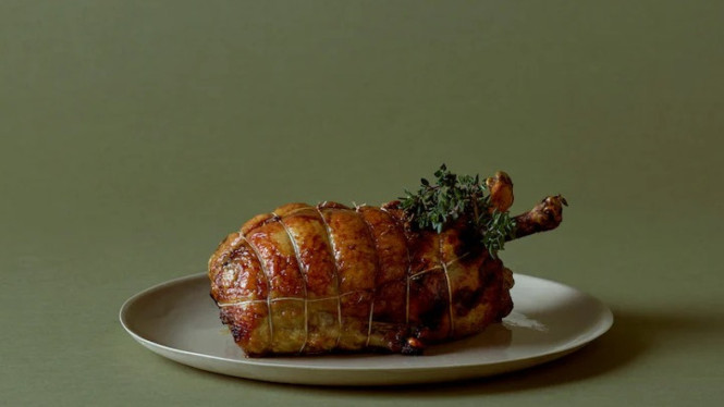 Ilustrasi duck ballotine