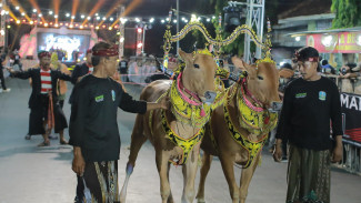 Bak Wanita Cantik Bersolek, Inilah Sape Sono' Madura Bernilai Ratusan Juta Rupiah