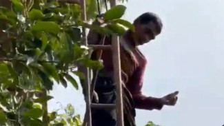 Cari Pakan Ternak, Pria di Sumenep Tewas Tersengat Listrik