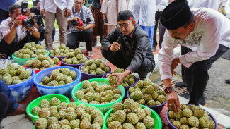 Festival Srikaya Sumenep, Pemberdayaan Ekonomi Lokal dan Wujud Kepedulian Terhadap Petani