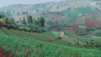 Ditangan 18NU, Proyek UPLAND Berubah Jadi UPLINE